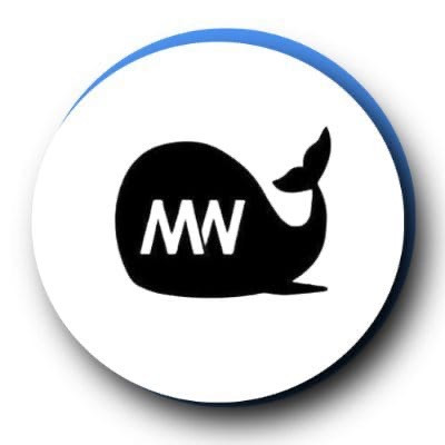 MegaWhale Crypto